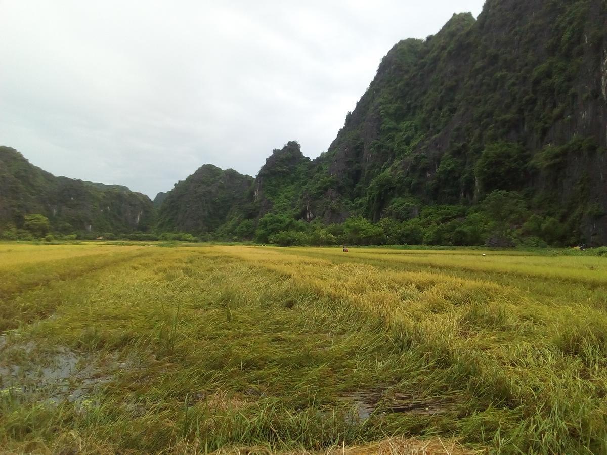 Tam Coc Smile Homestay Ninh Binh Exterior foto
